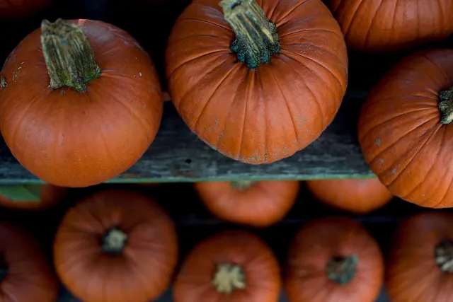abundance, agriculture, close-up, focus, food, fruit, gourd, group, healthy, market, patch, pumpkin, pumpkins, squash, brown healthy, brown fruits, brown group, brown market, brown. Market research strategy: a focused business guide for 2027